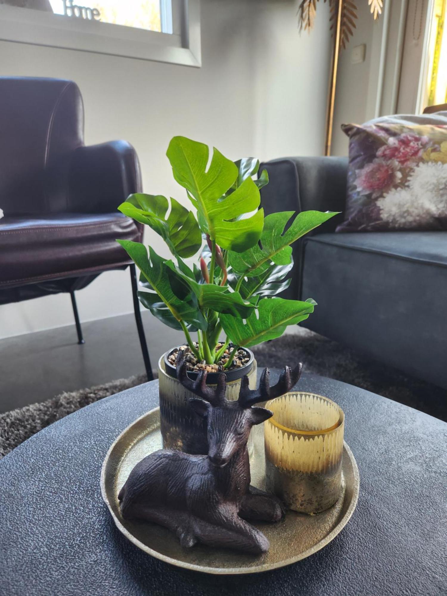 B&B Trust Barneveld Ngoại thất bức ảnh
